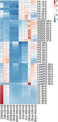 Varied Contribution of Phospholipid Shedding From Membrane to Daptomycin Tolerance in Staphylococcus aureus